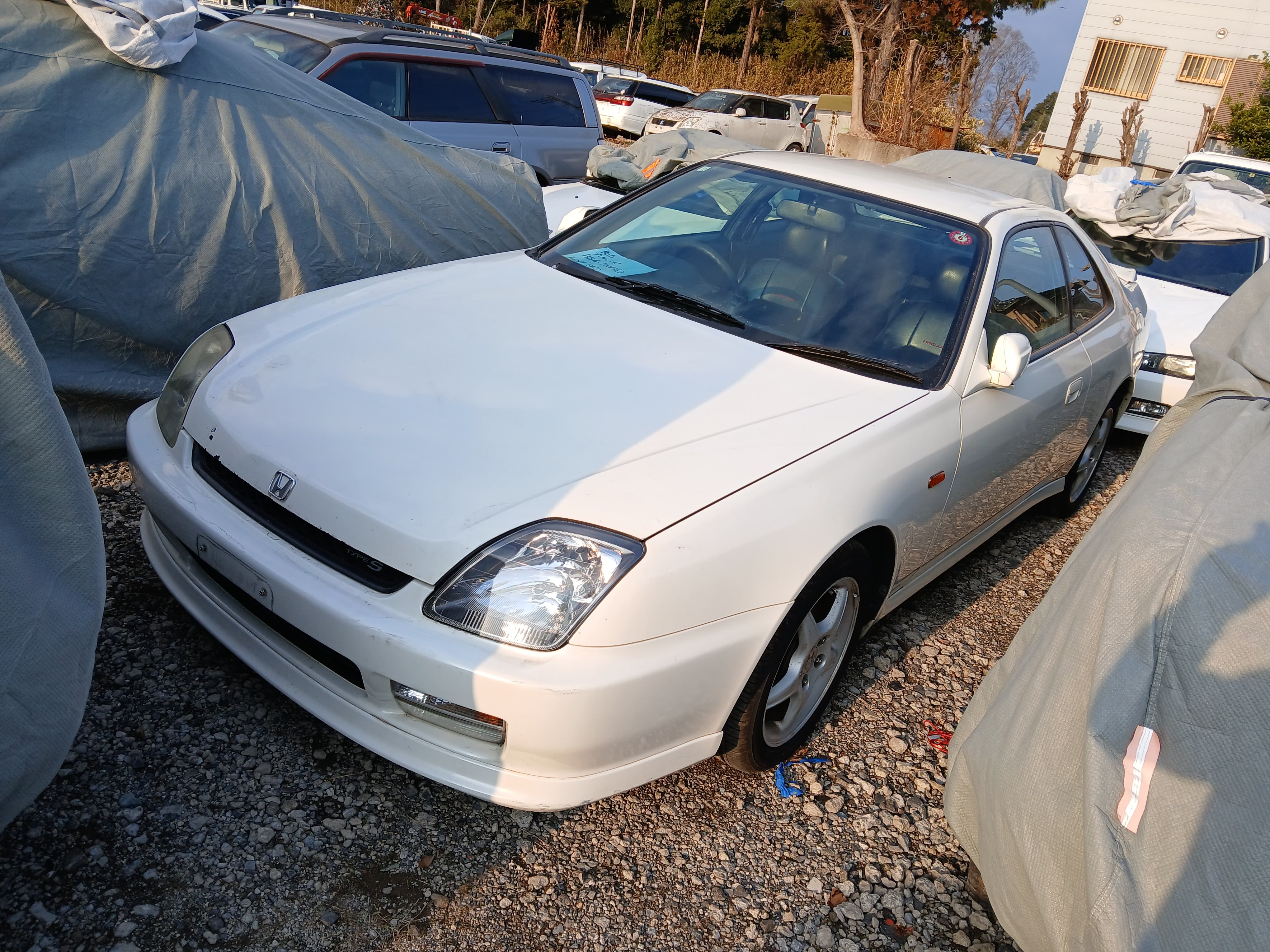 Import Auto Center